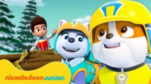 Щенячий патруль. Снежная команда Крепыш и Эверест