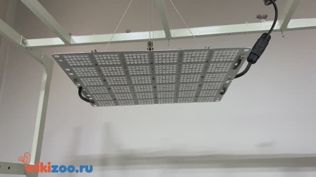 Квантумборд FITON QB-140 МАХ-2 для растений 16-140 Вт линза полный спектр