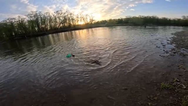 Хариус на воблер 55 мм (6.2 гр) №45 от Mr.Musurok 🔥