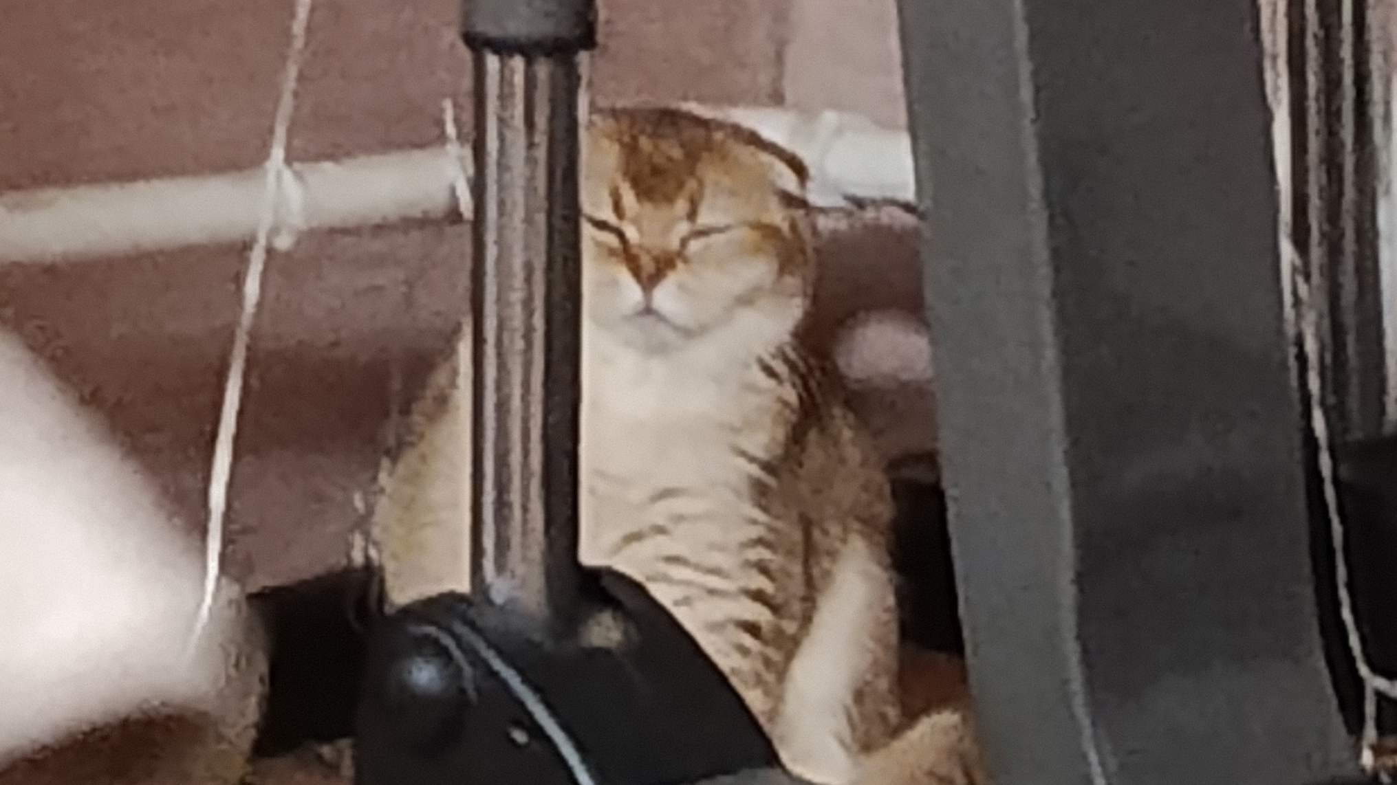 где мой лайк.