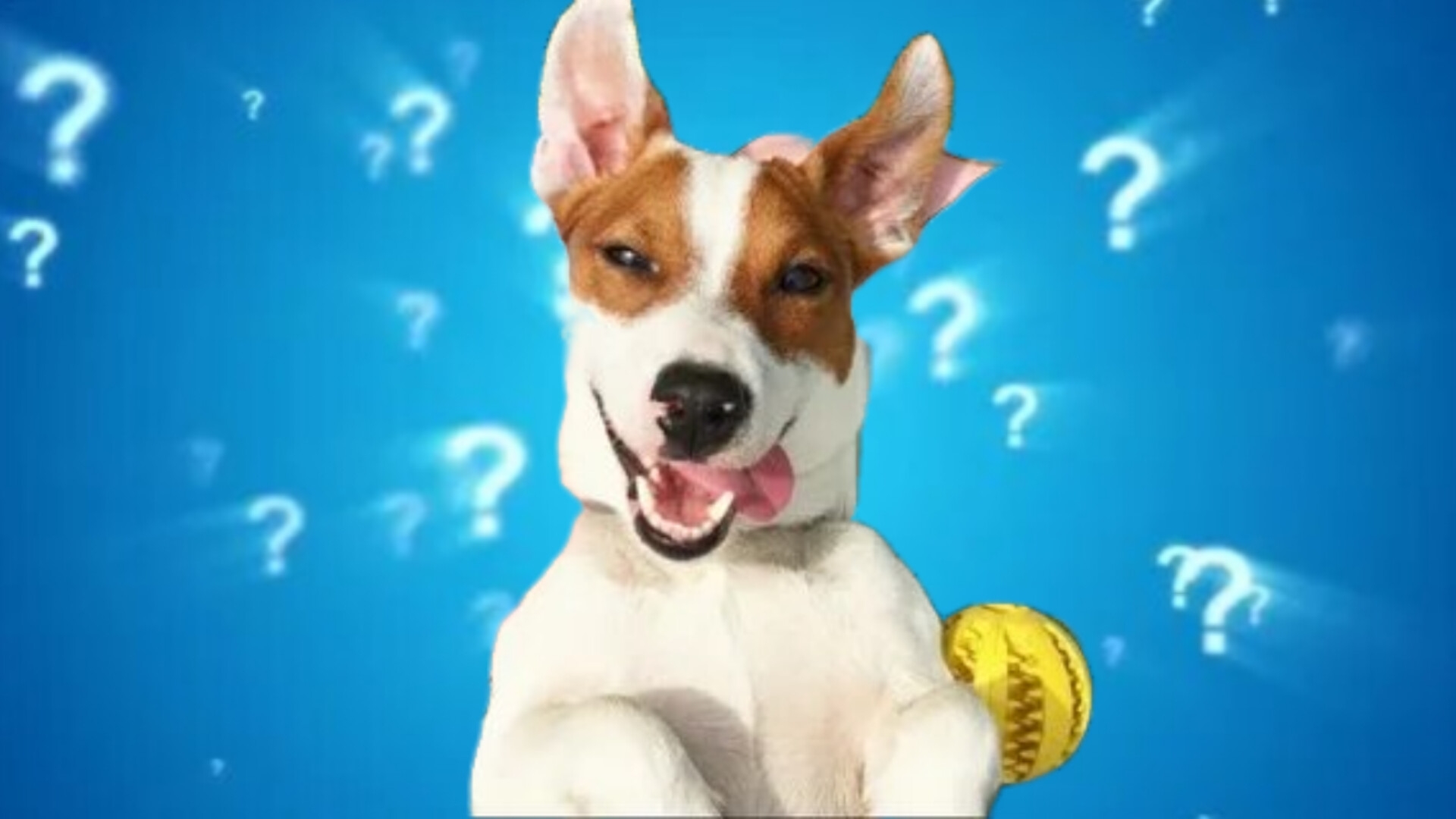 Куда пропал Локи Бобо