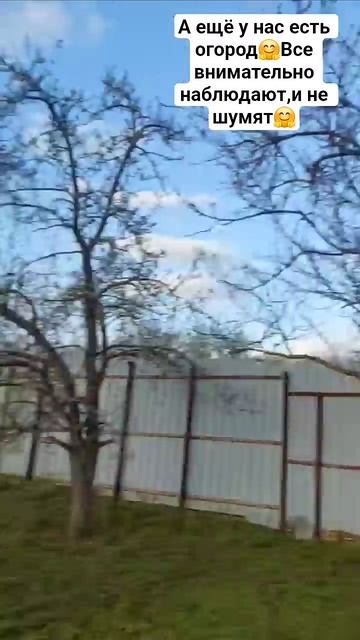 20 апреля 2026 г.