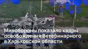 Минобороны показало кадры освобождения Ветеринарного в Харьковской области
