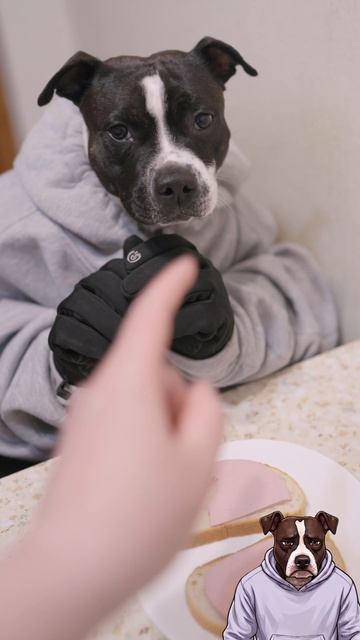 Скандал! Я не ел обед! 🍽