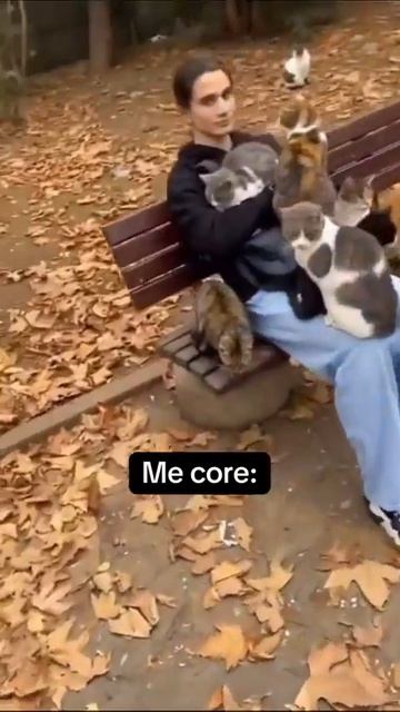 Клип @meowtaverse