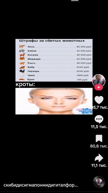 Штрафы за забитых животных, также кроты