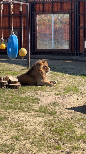 Думали спрятали тую?А я ее нашел!