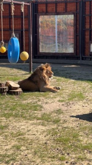 Думали спрятали тую?А я ее нашел!