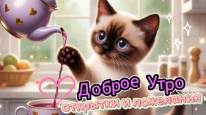 Доброе утро: открытки и пожелания с добрым утром | Домохозяйка