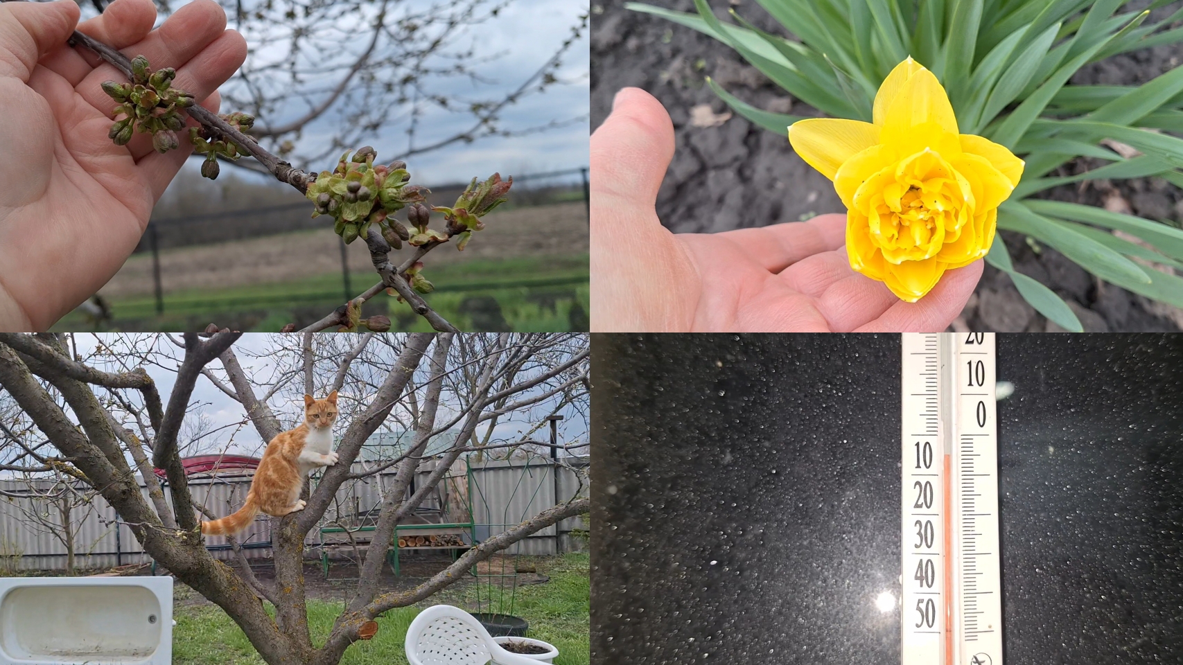 Жизнь Деревенская. Провалилась в глубокий сон.Мороз сегодня.