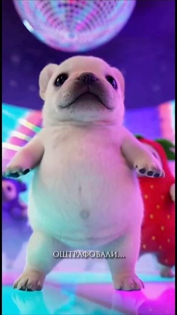 #весенниеперемены #бары #барыспб #питер #ночнойпитер #лаборатория31 #спб