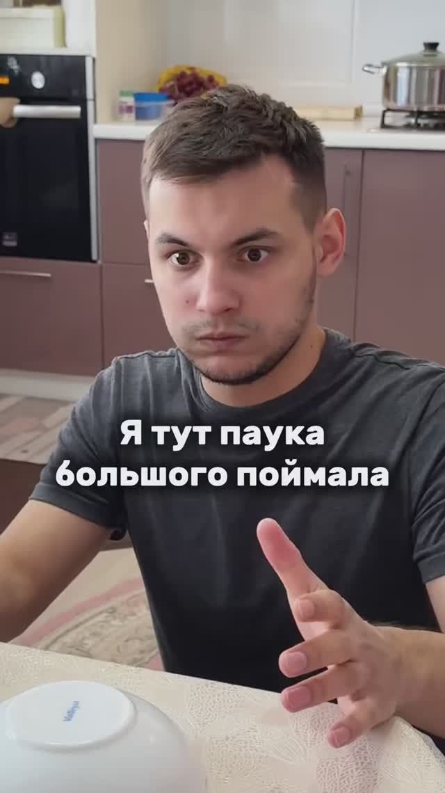 Паук под тарелкой😁