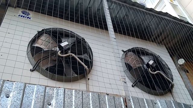 VID_20260421_190615293.mp4