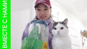 Покажу, где работает Витя. Портативный гриль. Обзор покупок от Пихлика😺 Екатеринбург