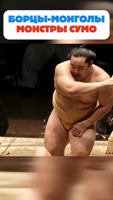 Борцы монголы выносят всех в сумо #shorts