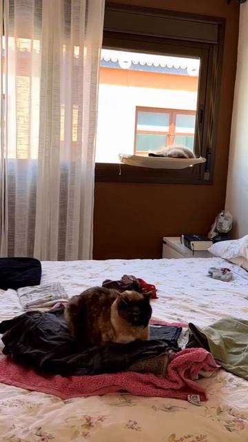 Пресс-папье для одежды