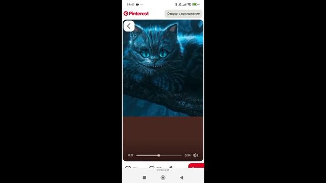 Чешир Эдит 🔥❤