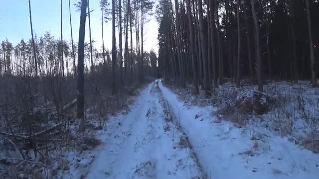 ОХОТА НА ЗАЙЦА, ОХОТА С ГОНЧИМИ