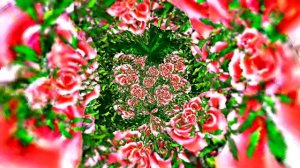 Футажи!!! Видеофоны!!! Футаж Феерия из Роз 2 от Киностудии Мудрого Кота Тимофея!!!