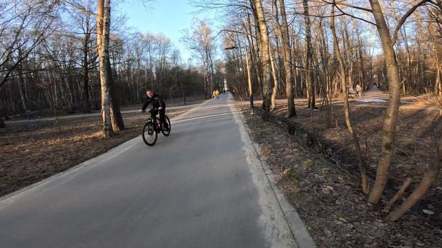 Кусковский лесопарк | Дворец Шереметевых