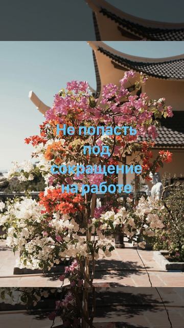 Чтобы не сократили на работе