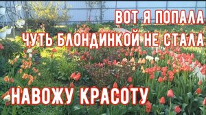 235🏡Чуть блондинкой опять не стала/Абрикосы завязались/Создаю красоту/Обещают заморозки