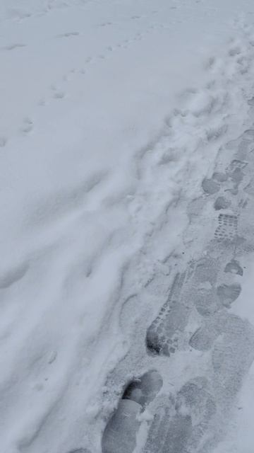 У погоды вышло ошибочка сразу говорю это не декабрь