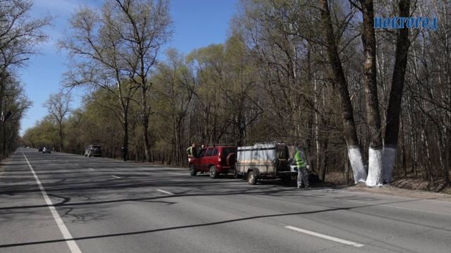 Весенние лоск, красоту и порядок наводят не только в центре Великого Новгорода