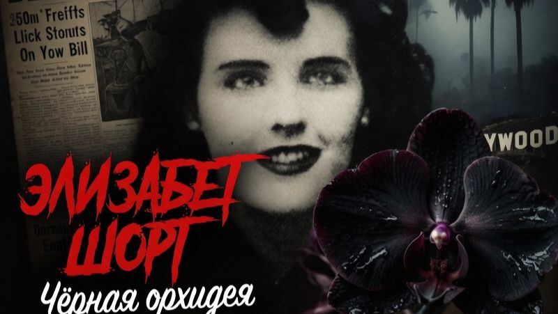 Чёрная орхидея. Трагедия города грехов.