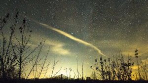 Арсений Тарковский - Я учился траве, раскрывая тетрадь…