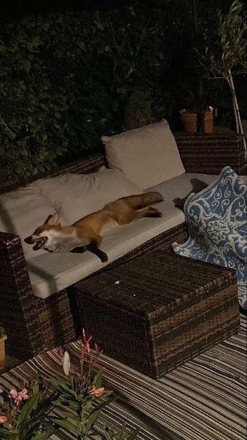 Пришла отдохнуть