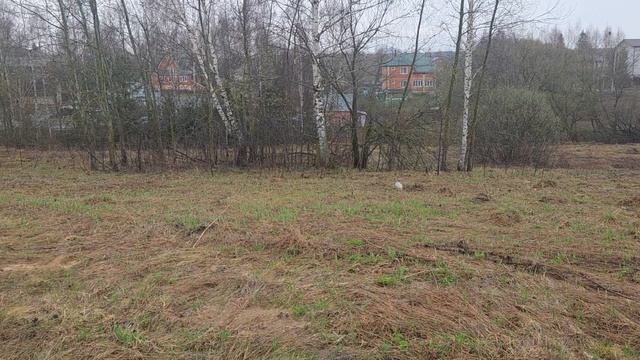 З/у с к.н. 50:28:0090205:745 расположенный по адресу: МО, г. Домодедово, д. Уварово