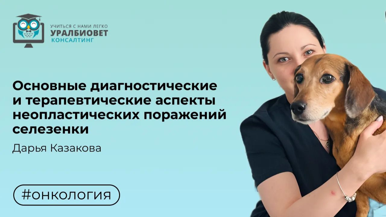 Основные диагностические и терапевтические аспекты неопластических поражений селезенки. Казакова Д.