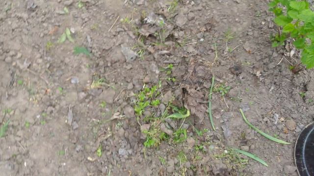 игра вышла? Octopus Gun 1.9.01