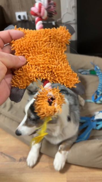 Бедные игрушки