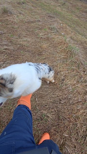 Ура, дождь закончился.