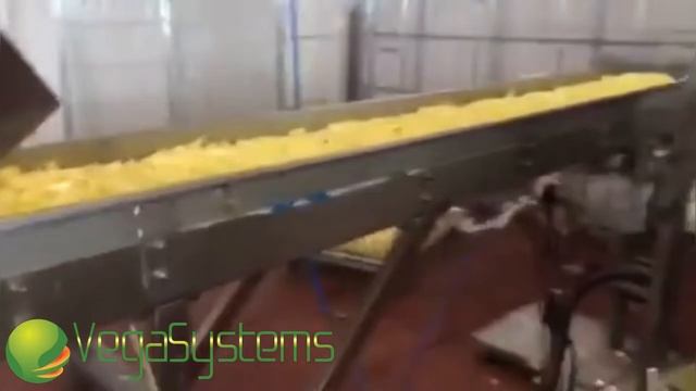 Весовой дозатор для овощей и фруктов Вега/Vega XL 600