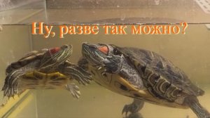 Ну, разве так можно?