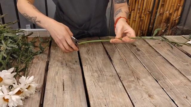 Обработка Ромашки