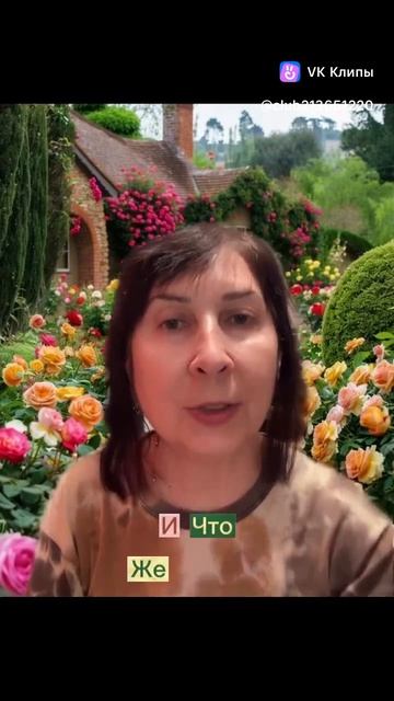 Мифы о розах