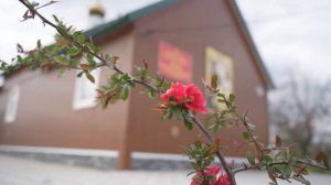 Храм района Отрезок г. Зеленокумск