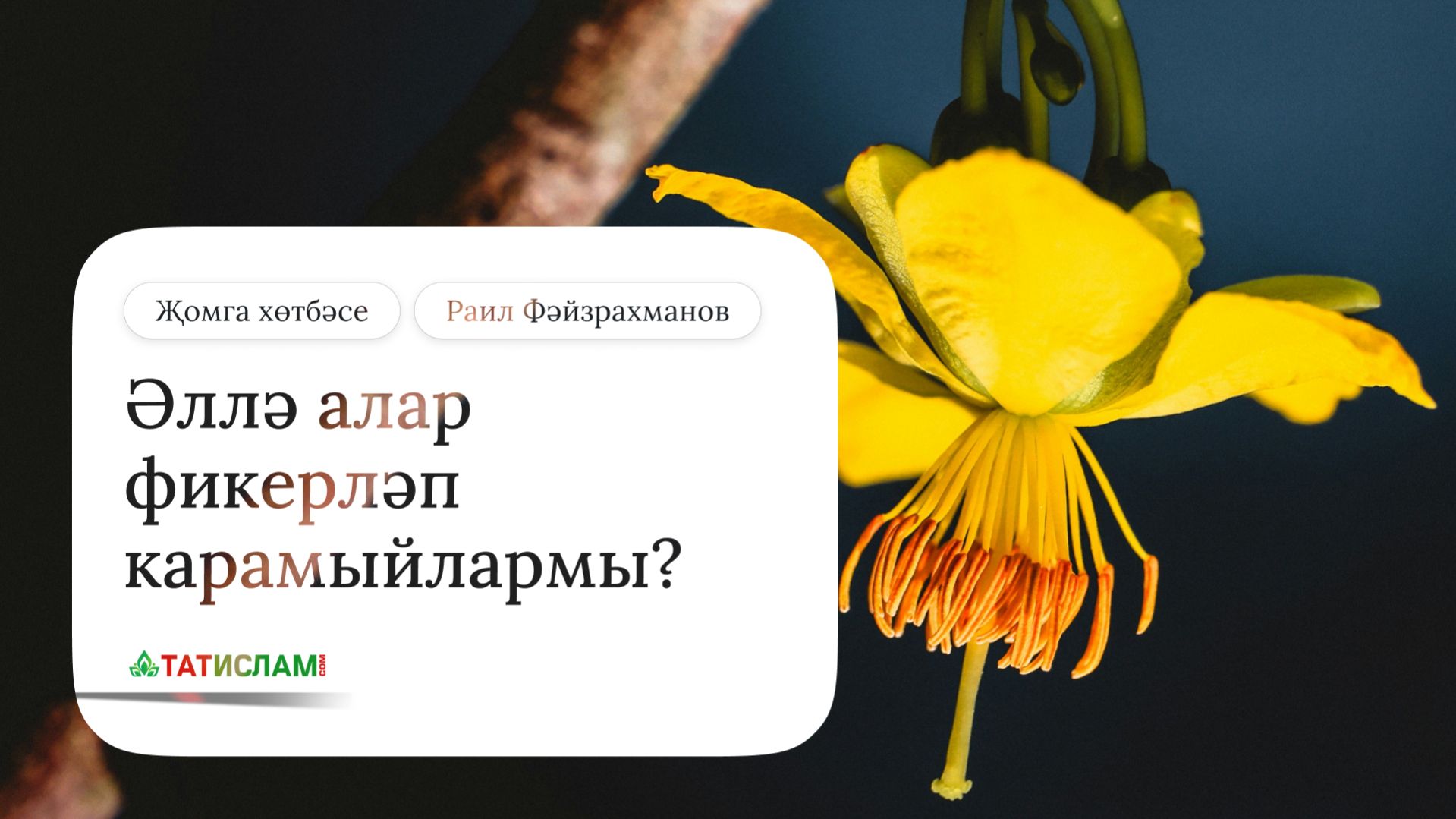 Әллә алар фикерләп карамыйлармы?  Җомга хөтбәсе. Раил Фәйзрахманов