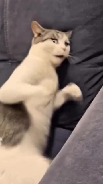 То чувство, когда ты не победим.