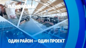 "Один район — один проект" в действии: опыт современного племенного завода на Могилёвщине. Панорама