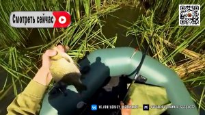 🎣  Рыбалка в дебрях. Ведро карася за пару часов!