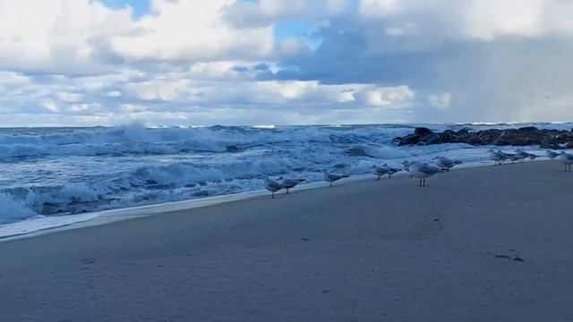 Борис Рыжий - Мне не хватет нежности в стихах