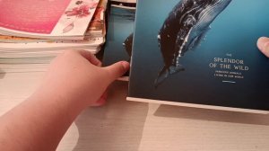 Все мои тетради