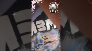 впвопвопвопыопв