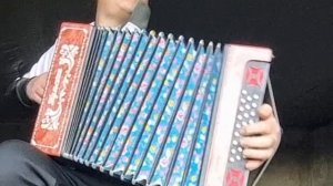 Одинокая гармонь.