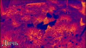 Rossijnin - Дичь